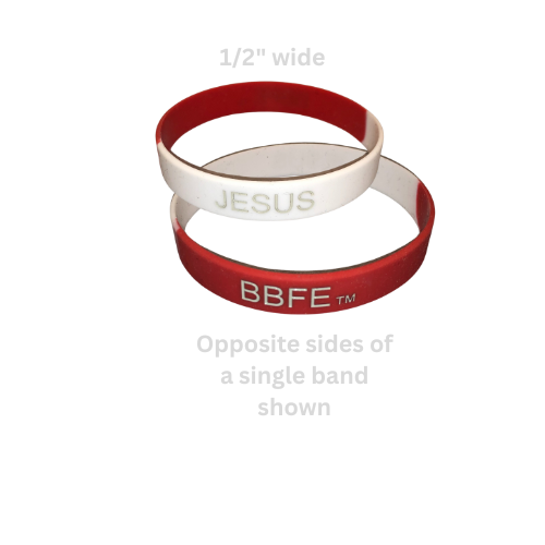 BBFE: ULTIMATE FRIEND