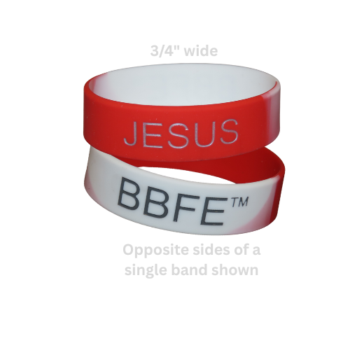 BBFE: ULTIMATE FRIEND